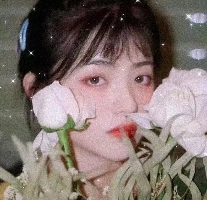 我的导演梦