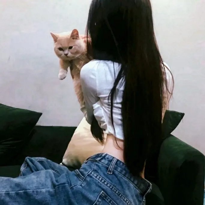 一条叫王子的狗